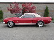 1968 Ford Mustang Shelby Cobra GT 350 Convertible Concours(1 of 404)